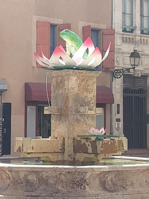 La Petite Pelerine Apartman Narbonne Kültér fotó